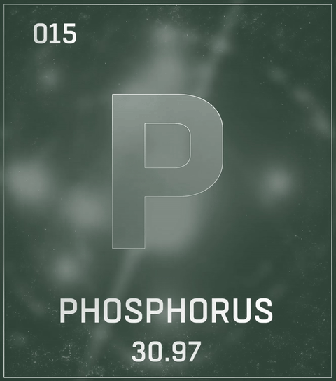 Phosphor (P) beim Grow - Grundlage für starke Wurzeln und Blüten