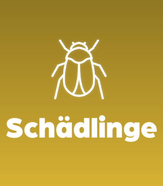 Schädlinge, Krankheiten, Pilze – erkennen, vermeiden, bekämpfen