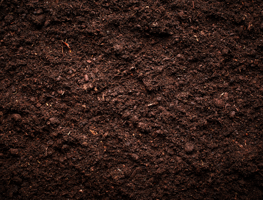 NPK - Das richtige Nährstoffverhältnis beim Grow