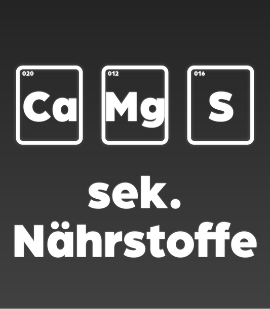 Sekundäre Makronährstoffe: Die oft unterschätzen Helfer